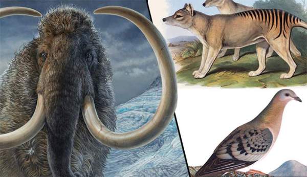 Việc hồi sinh các sinh vật thời tiền sử có thể dẫn đến mối đe dọa đối với con người? 5